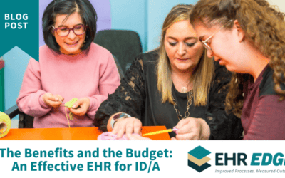 The Benefits and the Budget: An Effective EHR for ID/A